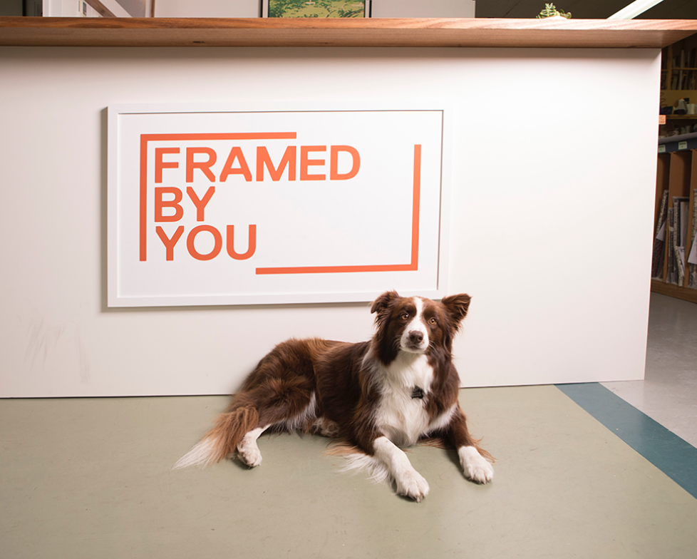 framing shop framed by you